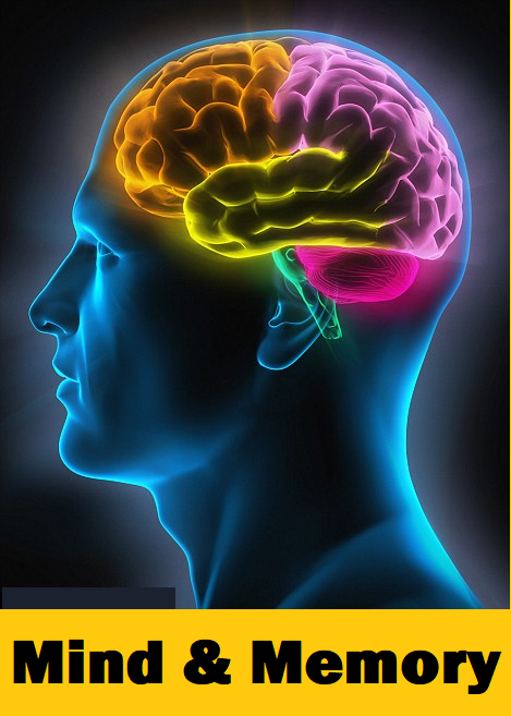 mind-memory
